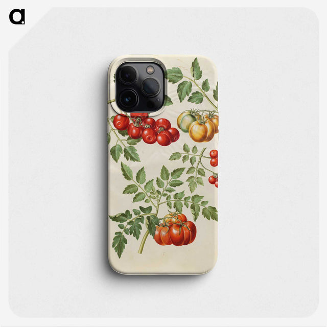 1-34_Maria-Sibylla-Merian_phone