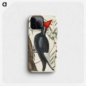 1-34_Mark-Catesby_phone