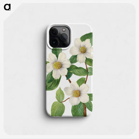 1-34_Mary-Vaux-Walcott_phone