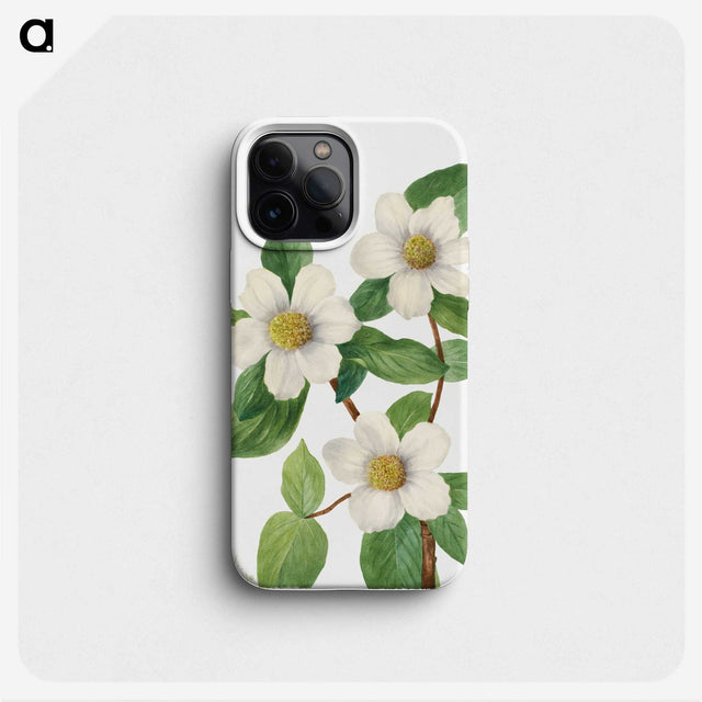 1-34_Mary-Vaux-Walcott_phone