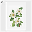 1-34_Mary-Vaux-Walcott_picture