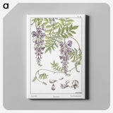 1-34_Maurice-Pillard-Verneuil_canvas