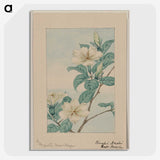 1-34_Megata-Morikaga_picture-crop