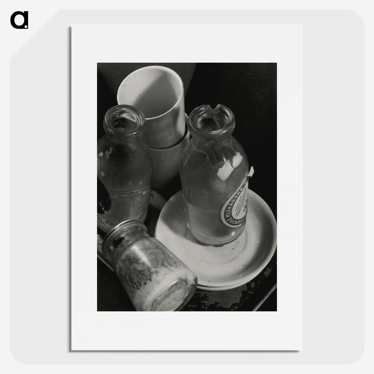 1-34_Milos-Dohnany_picture