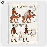 1-34_Monuments-of-Egypt-and-Nubia_picture-crop