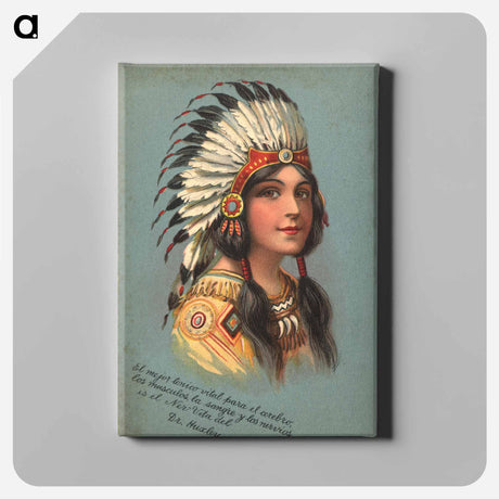 アートパネル-Native American Woman Illustrated Postcard
 - 国立医学図書館 Canvas.