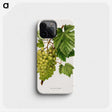 1-34_Nederlandsche-Flora-en-Pomona_phone