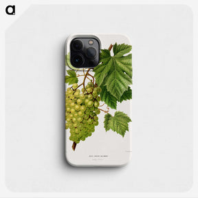 1-34_Nederlandsche-Flora-en-Pomona_phone