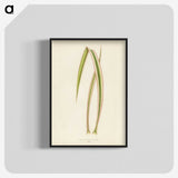 1-34_New-and-Rare-Beautiful-Leaved-Plants_blk-crop