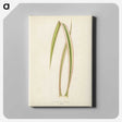1-34_New-and-Rare-Beautiful-Leaved-Plants_canvas