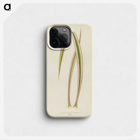 1-34_New-and-Rare-Beautiful-Leaved-Plants_phone