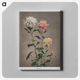 1-34_Ogawa-Kazumasa_canvas