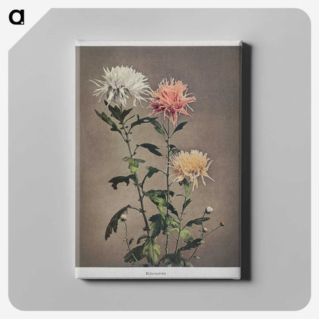 1-34_Ogawa-Kazumasa_canvas