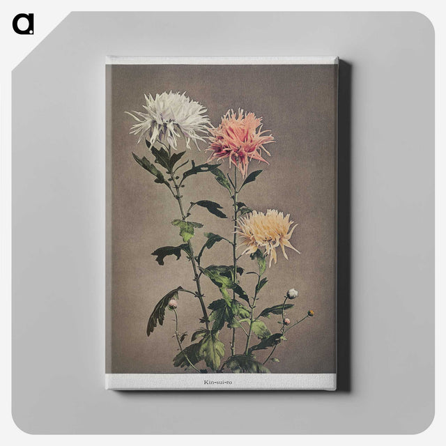 1-34_Ogawa-Kazumasa_canvas