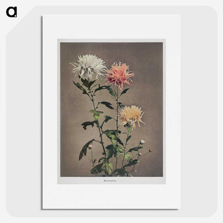 1-34_Ogawa-Kazumasa_picture