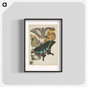 アートポスター-Vintage Butterflies
 - パピヨン Poster.