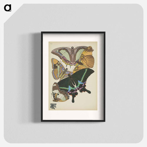 Vintage Butterflies
 - パピヨン Poster.