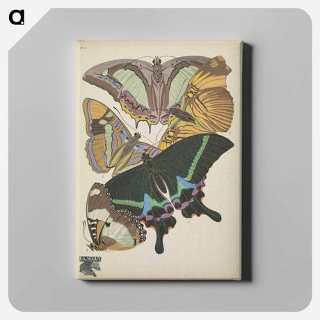 アートパネル-Vintage Butterflies
 - パピヨン Canvas.