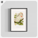 1-34_Parrots-in-Captivity_blk