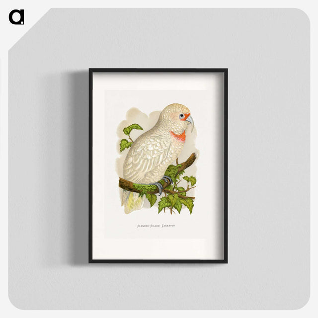 1-34_Parrots-in-Captivity_blk