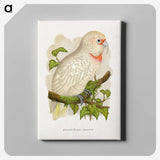 1-34_Parrots-in-Captivity_canvas