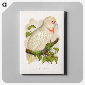 1-34_Parrots-in-Captivity_canvas