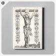 1-34_Peter-Paul-Rubens_canvas