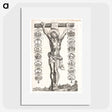 1-34_Peter-Paul-Rubens_picture