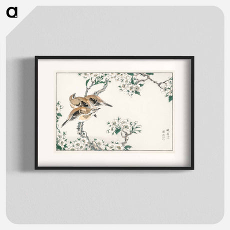 アートポスター-Japanese Meadow Bunting and Pear Flower
 - 鳥類図鑑 Poster.
