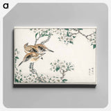 アートパネル-Japanese Meadow Bunting and Pear Flower
 - 鳥類図鑑 Canvas.