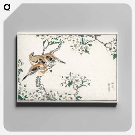 アートパネル-Japanese Meadow Bunting and Pear Flower
 - 鳥類図鑑 Canvas.