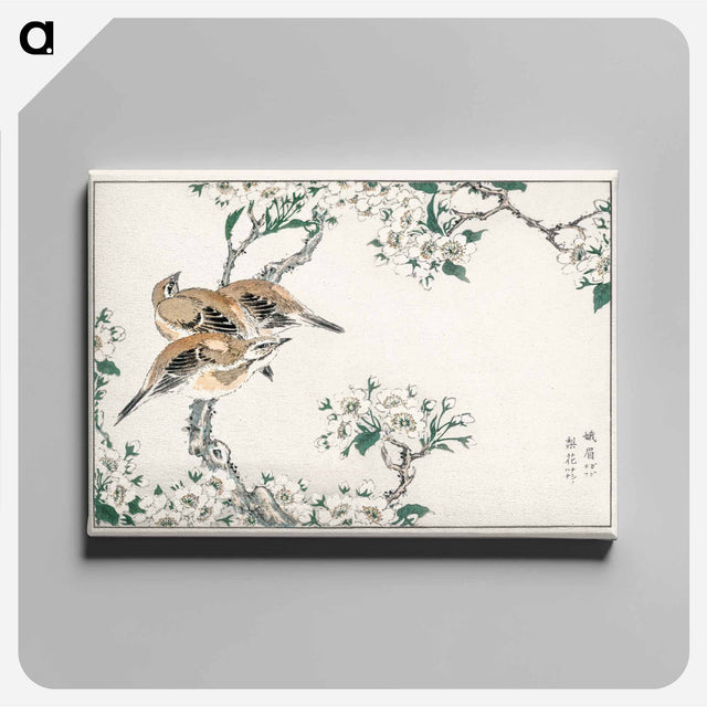 アートパネル-Japanese Meadow Bunting and Pear Flower
 - 鳥類図鑑 Canvas.