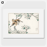 アートポスター-Japanese Meadow Bunting and Pear Flower
 - 鳥類図鑑 Poster.