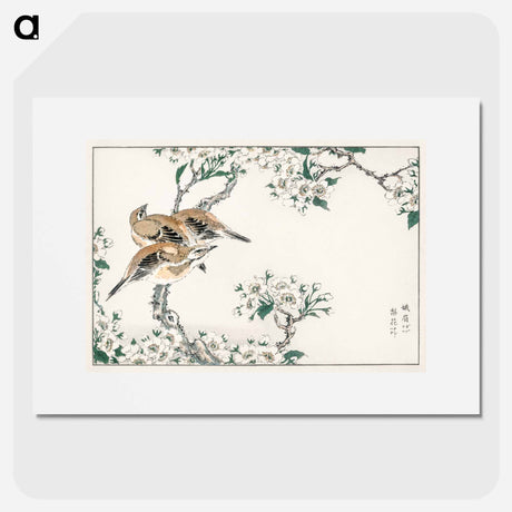 アートポスター-Japanese Meadow Bunting and Pear Flower
 - 鳥類図鑑 Poster.