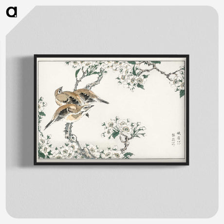 1-34_Pictorial-Monograph-of-Birds_blk-crop
