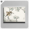 1-34_Pictorial-Monograph-of-Birds_canvas