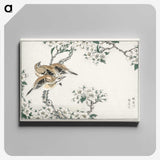 1-34_Pictorial-Monograph-of-Birds_canvas