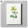アートパネル-Mimulus - ピエール ジョゼフ ルドゥーテ Canvas.