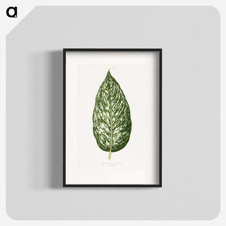 1-34_Plants-with-Colored-Foliage_blk
