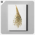 1-34_Pomona-Italiana_canvas