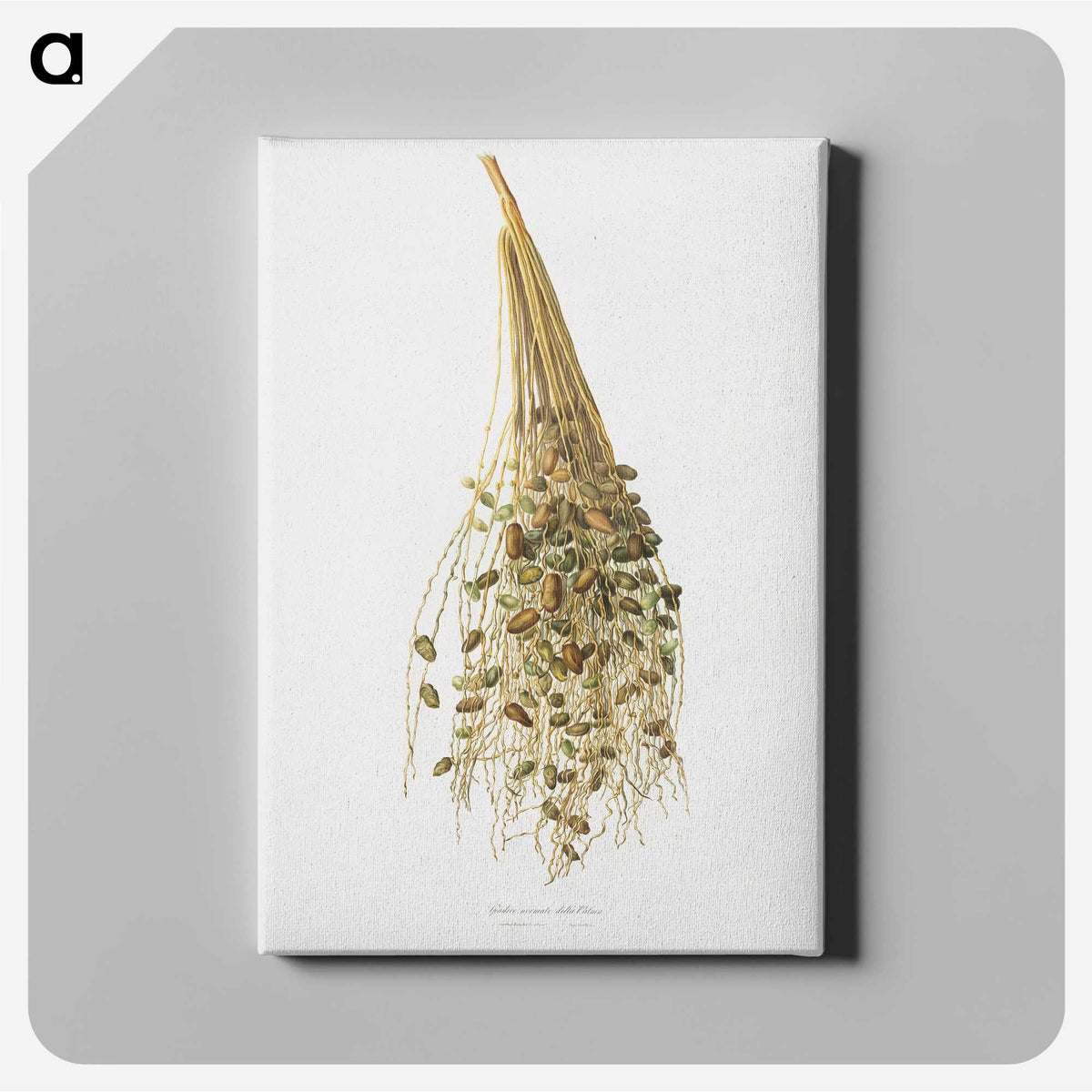 1-34_Pomona-Italiana_canvas