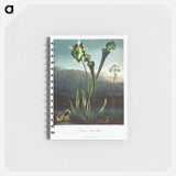 アートメモ帳-American Bog Plants
 - ロバート ジョン ソーントン Memo.