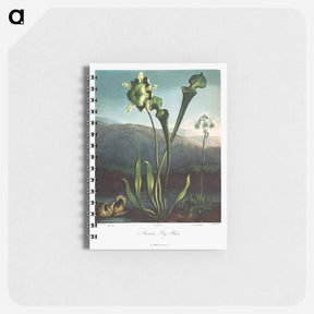 アートメモ帳-American Bog Plants
 - ロバート ジョン ソーントン Memo.