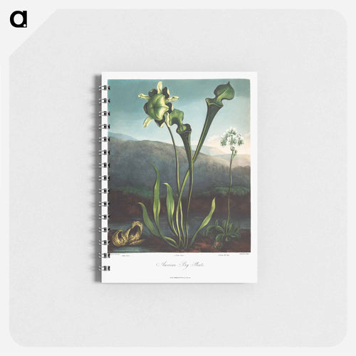 American Bog Plants
 - Robert John Thornton Memo.