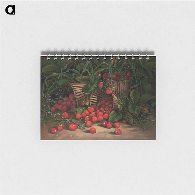 アートメモ帳-Smelt Brook Falls
 - セントルイス美術館 Memo.