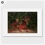 1-34_Saint-Louis-Art-Museum_picture