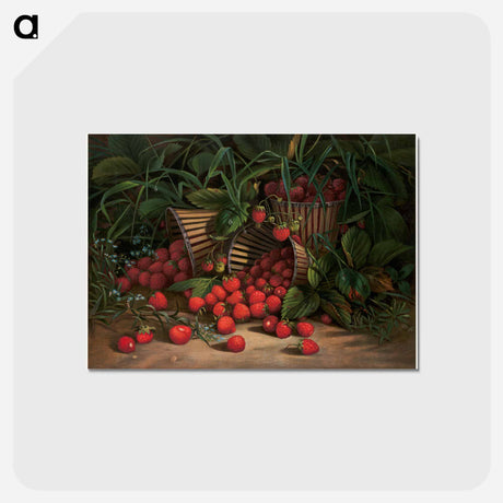 アートポストカード-Smelt Brook Falls
 - セントルイス美術館 Postcard.