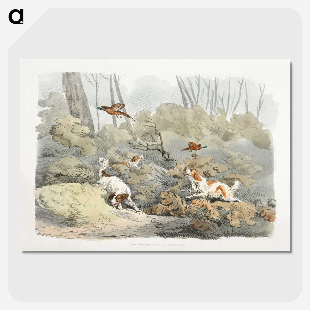 1-34_Sporting-Sketches_picture-crop