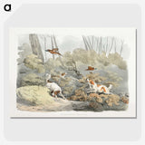 1-34_Sporting-Sketches_picture-crop