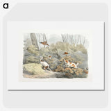 1-34_Sporting-Sketches_picture